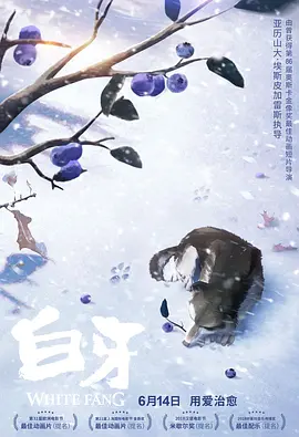 国产主播一区二区在线放