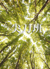 帅哥的蜜月之旅