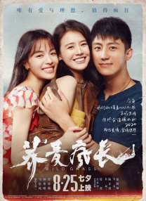 要做两次吗的韩剧