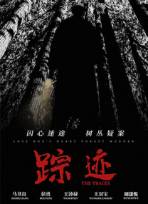 天天干视频在线