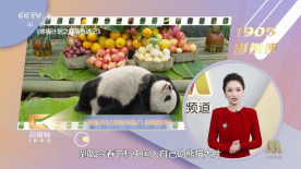 五月婷婷综合在线视频