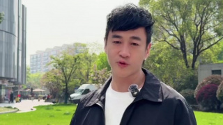 后宫海贼王